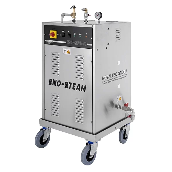 Industrial Steam Generator